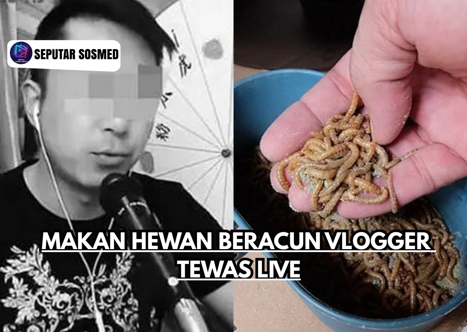 Makan Hewan Beracun Vlogger Tewas Live
