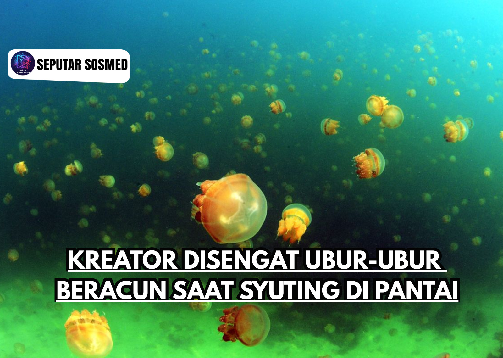 Kreator Disengat Ubur-ubur Beracun Saat Syuting di Pantai