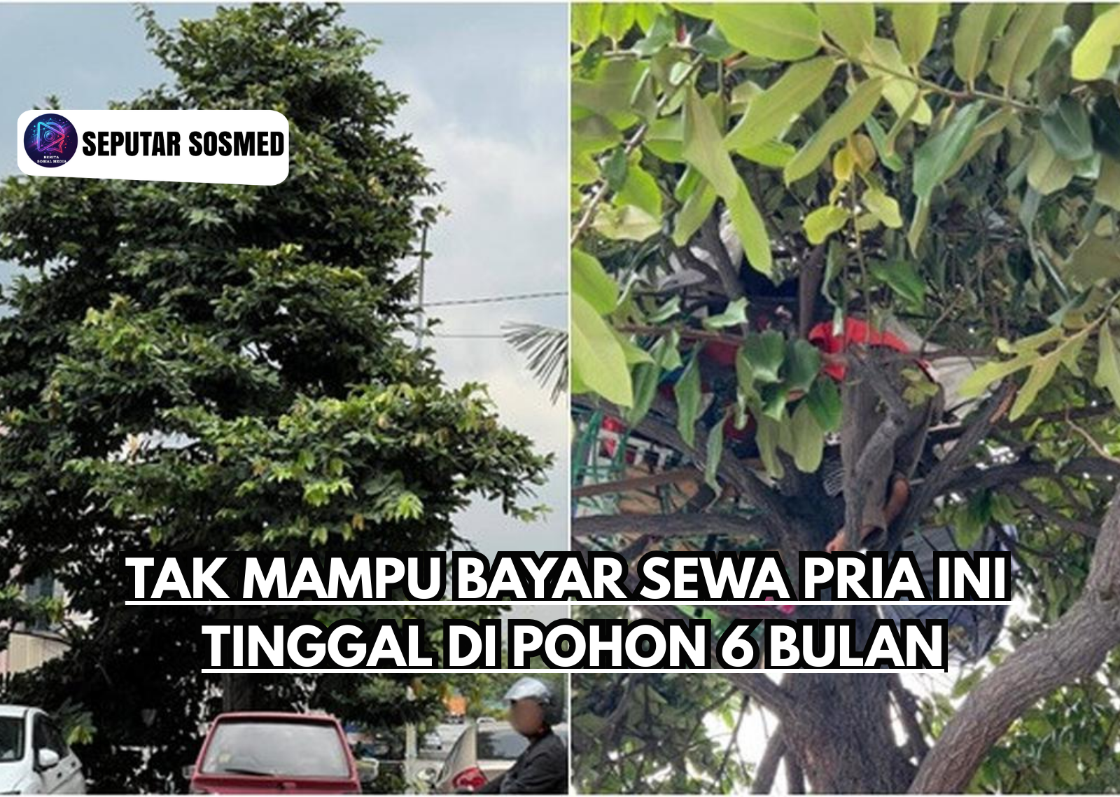 Tak Mampu Bayar Sewa Pria Ini Tinggal di Pohon 6 Bulan