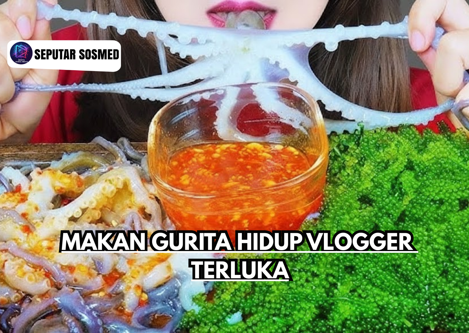 Makan Gurita Hidup Vlogger Terluka