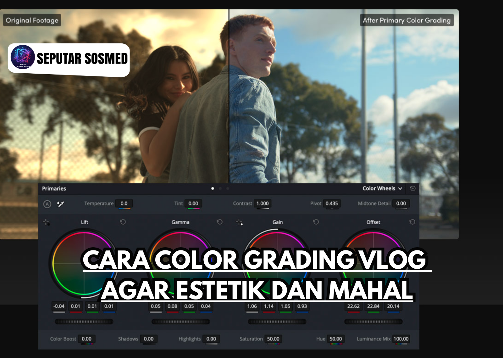 Cara Color Grading VLOG Agar Estetik Dan Mahal